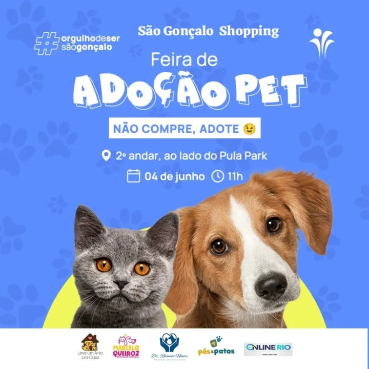 Todos os animais são provenientes de resgates feitos por protetores independentes