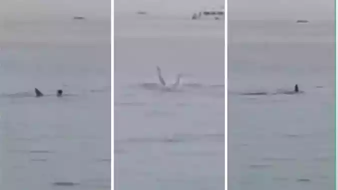 Uma testemunha ocular, que registrou o momento do ataque em vídeo, compartilhou as imagens