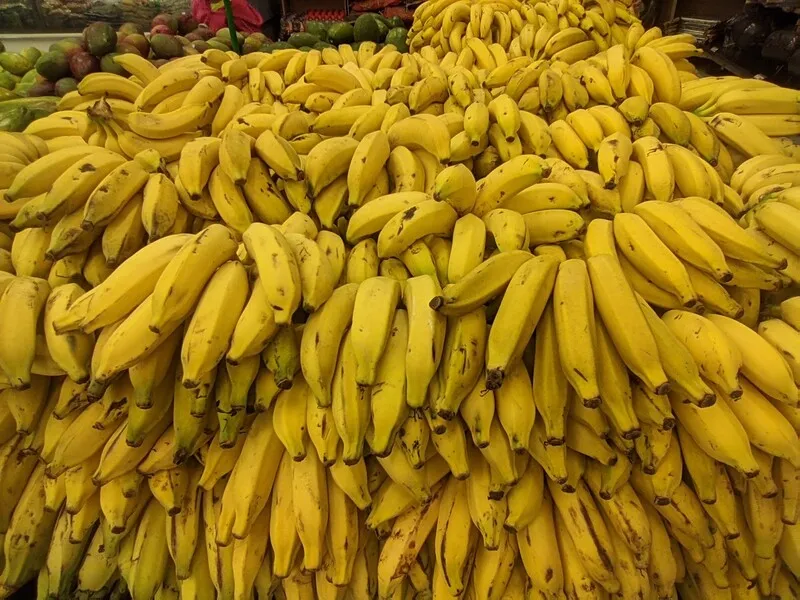 A banana apresentou queda de preços nos três mercados analisados