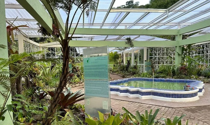 Acervo foi formado a partir de coletas de pesquisadores e expedições científicas