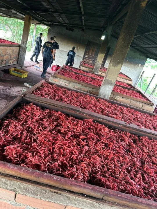 Todo o material impróprio ao consumo humano foi apreendido para inutilização e descartado no aterro sanitário de Campos