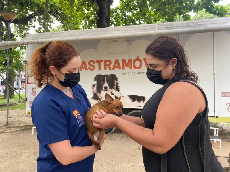 Todos os animais domésticos que fizerem a cirurgia receberão um implante de microchip, no qual ficarão armazenados os dados do animal e do tutor