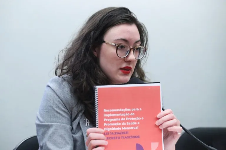 Helena Branco pediu transparência na aplicação da lei aprovada pelo Congresso