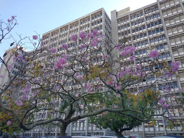 UERJ Maracanã