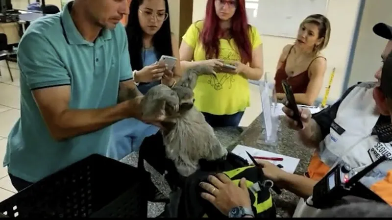 De acordo com a Polícia, os homens são brasileiros e já têm anotação criminal por tráfico de animais silvestres
