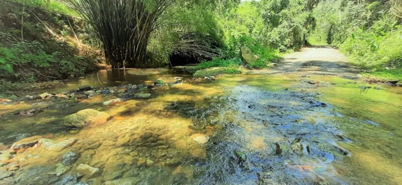 O grupo seguirá pela antiga estrada de tropeiros até o Rio Ubatiba