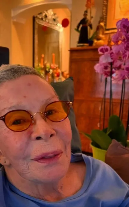 Rita Lee recebeu alta do Hospital Albert Einstein nesse sábado (4)