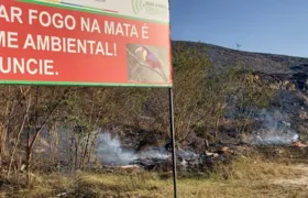 Bombeiros foram acionados para 621 queimadas em pouco mais de 24 horas