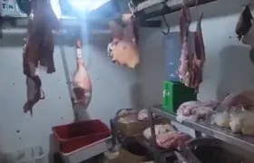 Carnes estragadas são apreendidas em açougue na Zona Norte