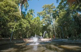 Corrida para maiores de 60 anos no Horto do Barreto no próximo domingo (22)