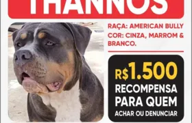 Em busca de Thannos: campanha cresce e recompensas também