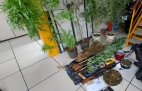 PM prende suspeitos com maconha em Paty do Alferes, no Rio