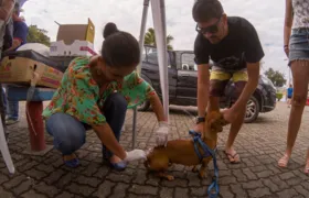 Maricá: Campanha de Vacinação Antirrábica Animal começa neste sábado (21)