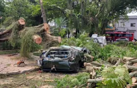 O dia seguinte ao caos: Niterói amanhece revirada após tempestade