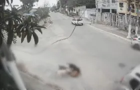 Pitbulls atacam e matam cadela de estimação em Itaboraí; vídeo