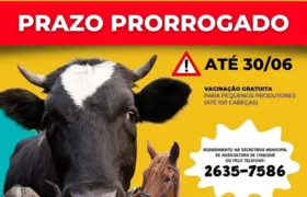 Prorrogado prazo para vacinação contra a febre aftosa em Itaboraí