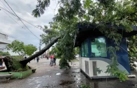 Tempestade deixa bairros de SG, Niterói e Maricá sem energia elétrica; Vídeo