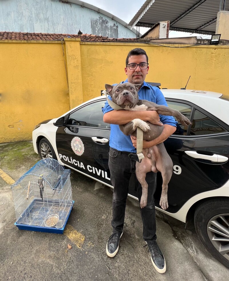 zoofil Cadela é resgatada após sofrer maus-tratos e zoofilia; dono ...