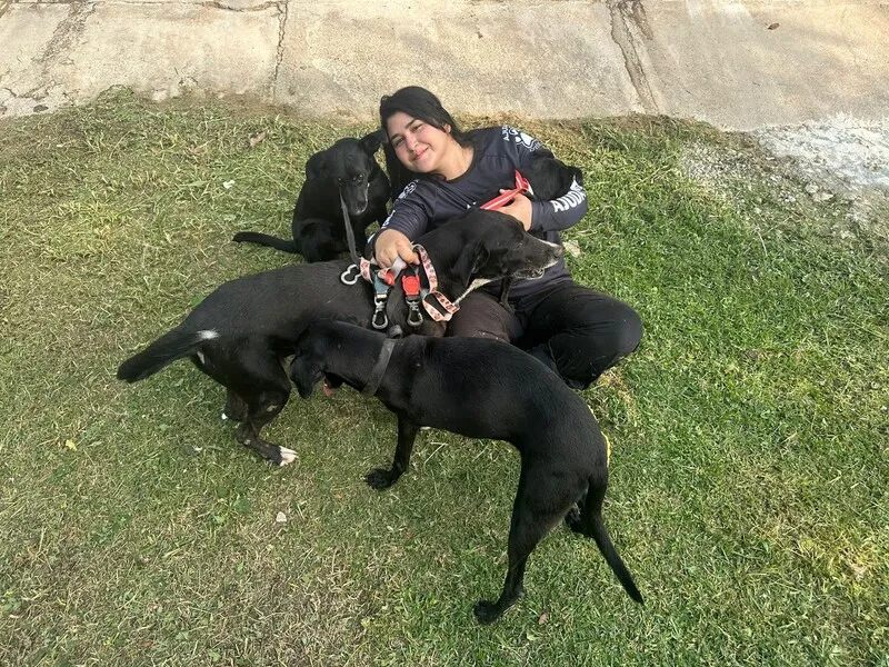 Nesta semana, 7 cães entre vira-latas e de raça abandonados, foram resgatados pela ONG Ajuda Patas