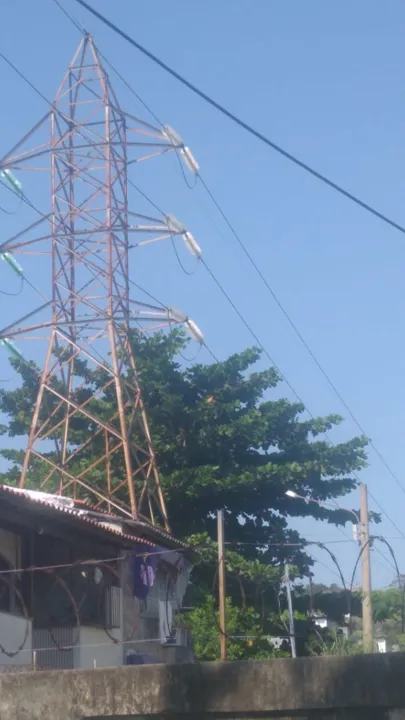 Amendoeira localizada na rua está encostando em fios de alta tensão