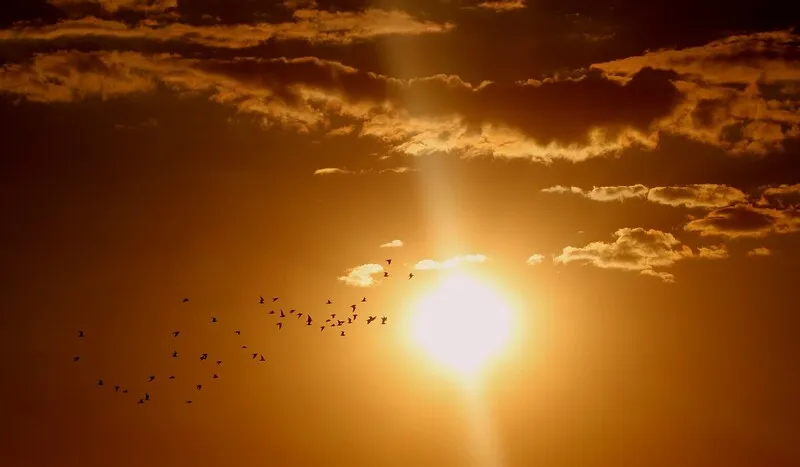 Onda de calor deve afetar temperaturas dos próximos dias