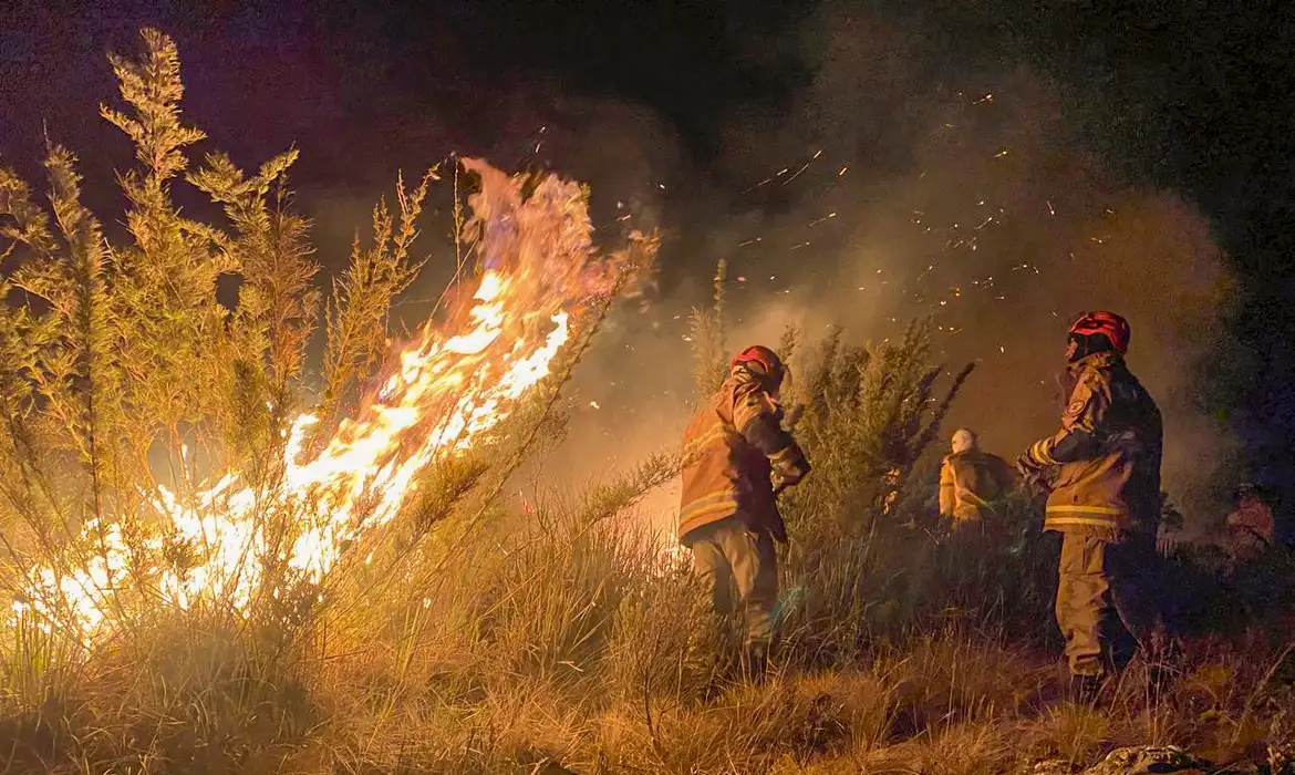 Brasil já registrou 180.137 focos de incêndio em 2024