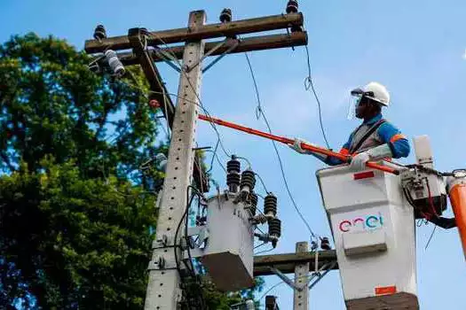 O mutirão de poda preventiva de árvores conta, diariamente, com pelo menos quatro viaturas da Enel, além de outras disponibilizadas pela Prefeitura