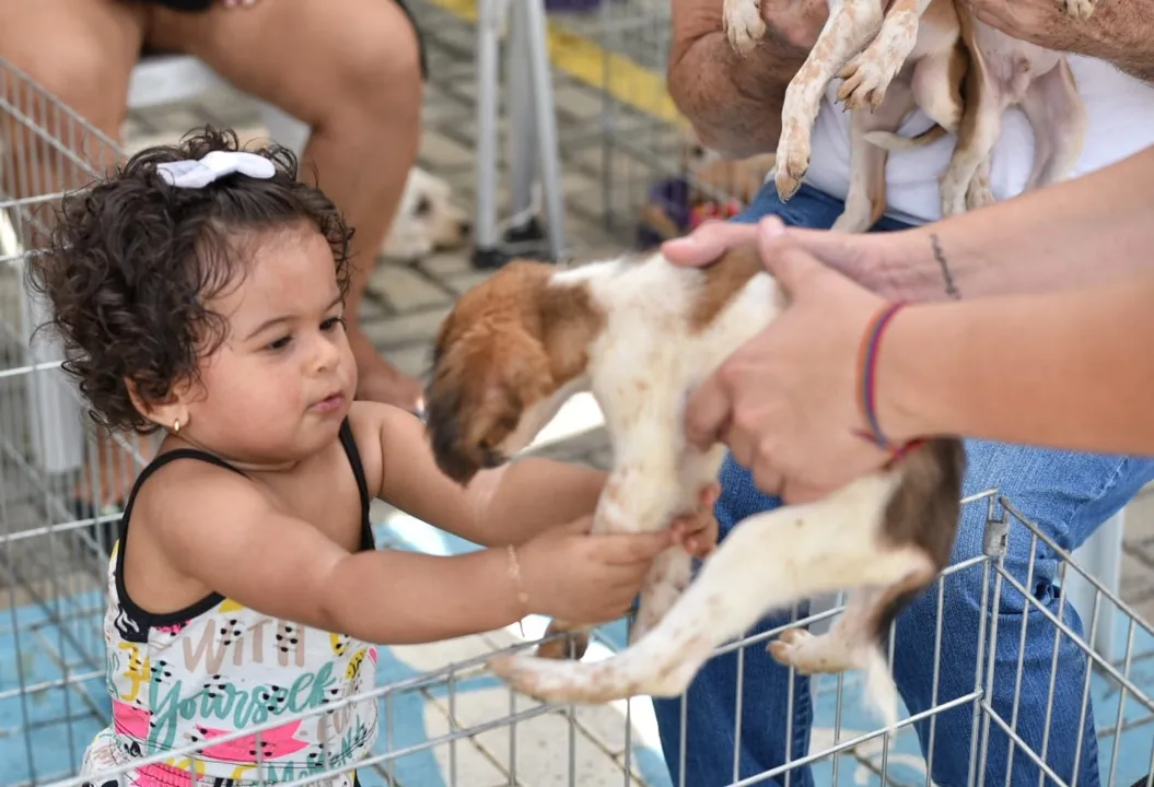 Todos os animais, antes da adoção, foram previamente examinados por veterinários e receberam cuidados especiais