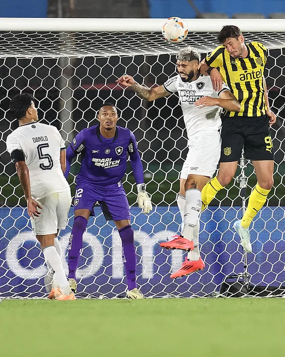 Botafogo terá maratona até a decisão da Libertadores