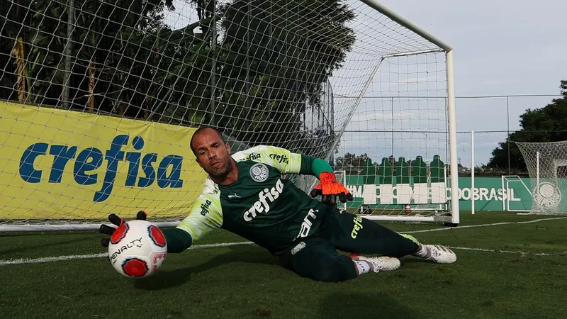 Goleiro revele
ado pelo Fla defende, atualmente, o Palmeiras