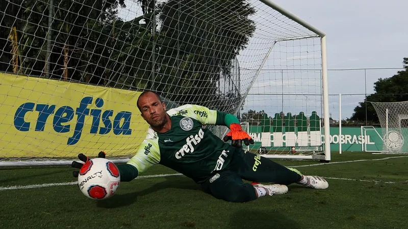 Goleiro revele
ado pelo Fla defende, atualmente, o Palmeiras