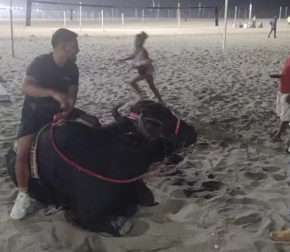 Homem leva búfalo para passear na Praia de Copacabana