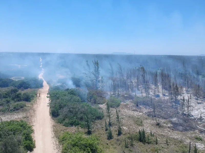 Incêndio no Parque Natural Municipal da Restinga da Massambaba, em Arraial do Cabo, já destruiu área equivalente a dez campos de futebol