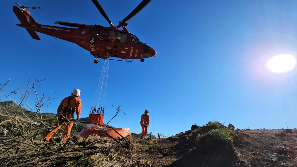 Em 2023, o CBMERJ atuou em 11.037 combates a fogo em vegetação