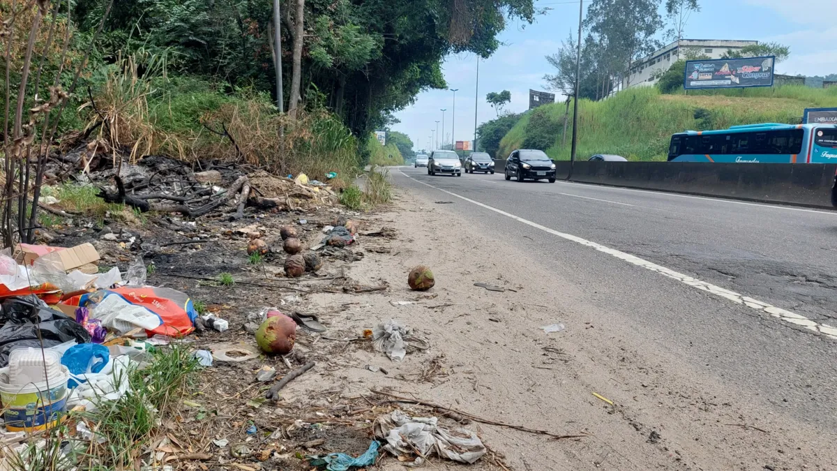 Lixo jogado à beira das rodovias invade a pista, causando risco de acidentes