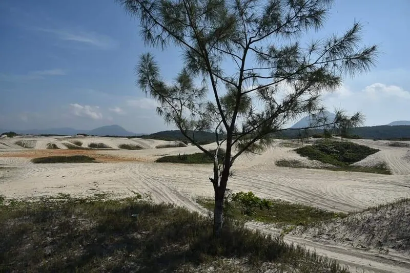 A restinga está inserida na Área de Proteção Ambiental (APA) de Maricá