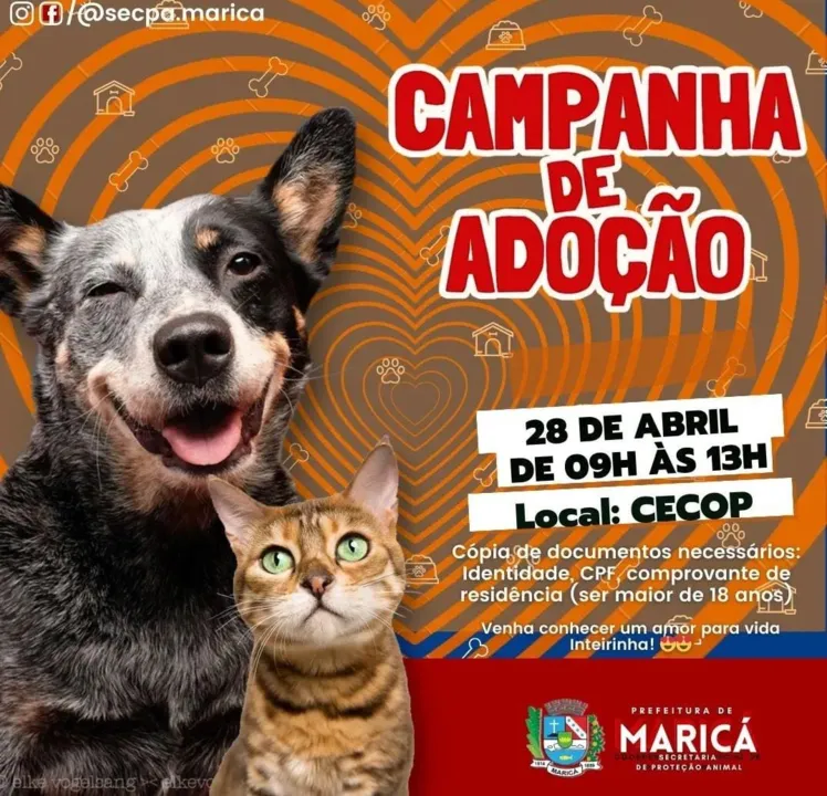 Campanha de adoção em Maricá neste domingo