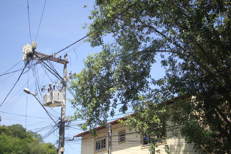 Galhos de árvore afetam rede elétrica e causam 'apagões'
