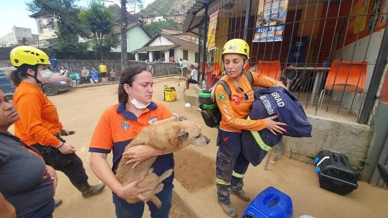 A capacitação será realizada por meio de uma parceria entre a Secretaria Municipal de Defesa Civil e Geotecnia e a Coordenadoria Especial de Direitos dos Animais (CEDA), no auditório do Caminho Niemeyer