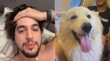 Henrique e Juliano sequestram os cachorros de Nattanzinho