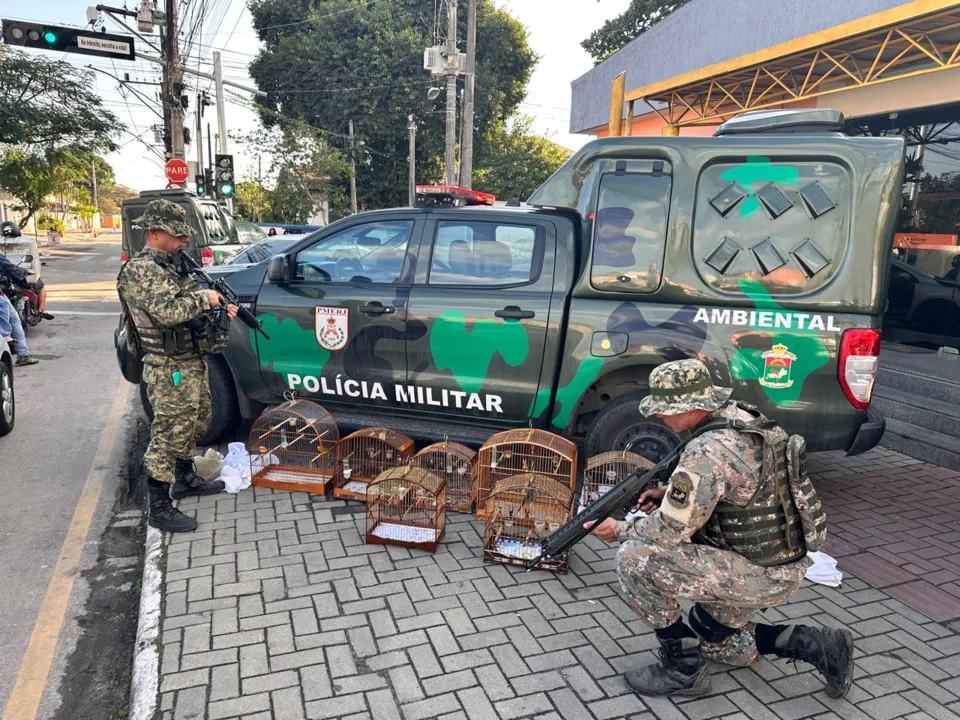 PM recebeu denúncia sobre um possível torneio clandestino de aves