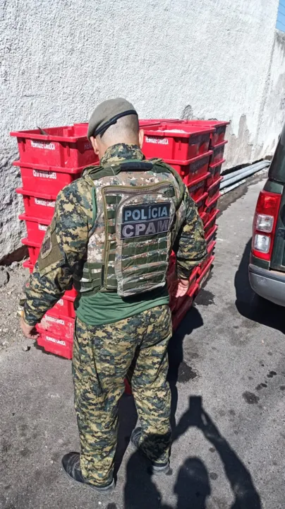 Agentes policiais apreenderam carregamento ilegal de peixe, em Niterói