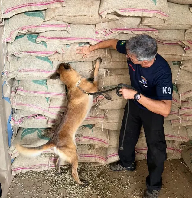 Cocaína é encontrada no Porto do Rio com a ajuda de cães farejadores
