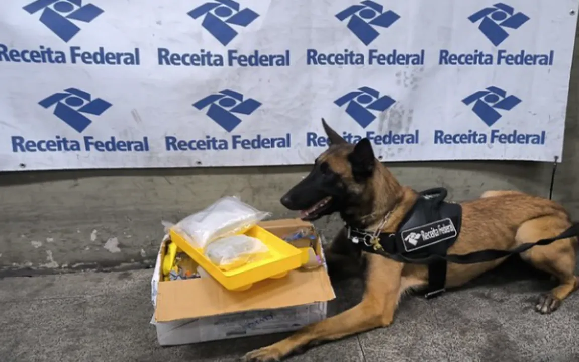 Material foi encontrado por cães farejadores