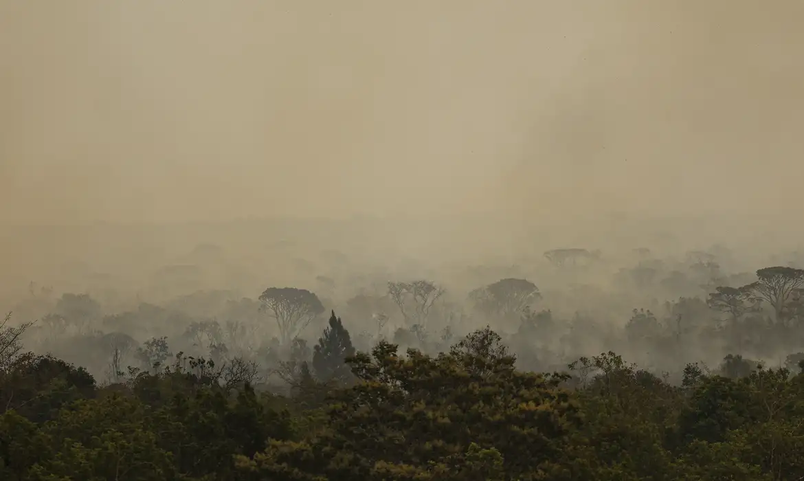 O mês de setembro teve 75 mil focos de incêndio em 2024