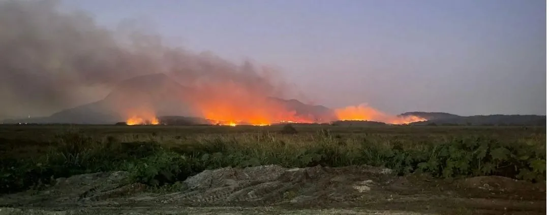 Bombeiros e Defesa Civil atuaram na contenção das chamas