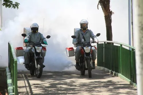 Tanto a sanitização quanto a pulverização de inseticida são de prevenção