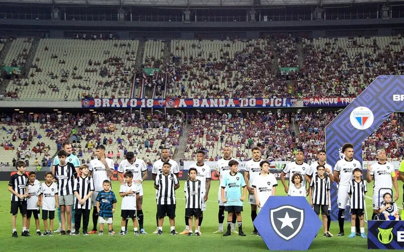 Botafogo despencou no Brasileirão e passou a liderança para o Palmeiras