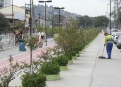Revitalizada pelo programa Praça Renovada em março de 2023, a área de lazer possui canteiros central e lateral formando um boulevard