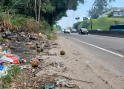 Lixo jogado à beira das rodovias invade a pista, causando risco de acidentes